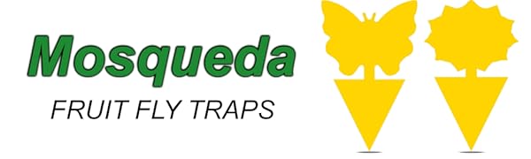 fly traps