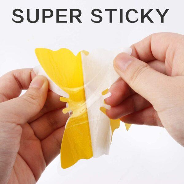 Fruit fly sticky trap - Image 6